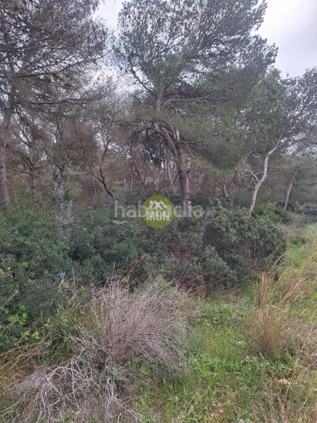 Foto eb43466b-f502-487f-9e6e-8cba85b5c8cb. Terreny residencial a Montañar-El Arenal Xàbia