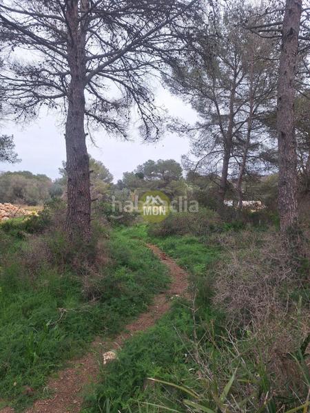 Foto f0f1d121-a6fb-49d7-b5b8-33791092b47a. Terreny residencial a Montañar-El Arenal Xàbia