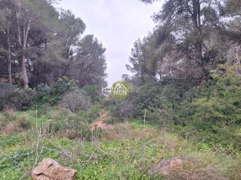 Foto faa7c2df-3538-4d99-880a-2c1077c367e7. Terreny residencial a Montañar-El Arenal Xàbia