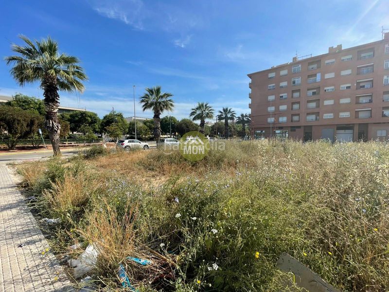 Foto 50ed1bfa-e5f2-48d5-8542-91fa0a5c2f3f. Terreny residencial a Carlet