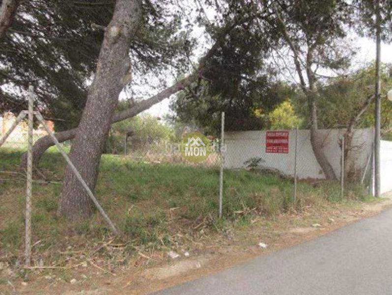 Foto 0f1d45d7-3169-4114-bed3-eca7acb68821. Terreno residencial suelo urbano junto al mar en Les Bassetes - El Marjal Dénia