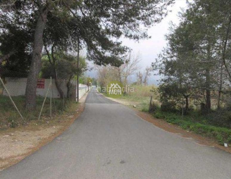 Foto 45861e22-e93d-476a-84a1-5792f5a5fde3. Terreno residencial suelo urbano junto al mar en Les Bassetes - El Marjal Dénia