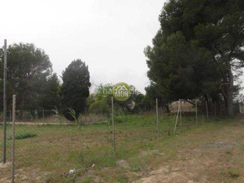 Foto 5d1842ba-8394-44df-9951-ee2160018f94. Terreno residencial suelo urbano junto al mar en Les Bassetes - El Marjal Dénia