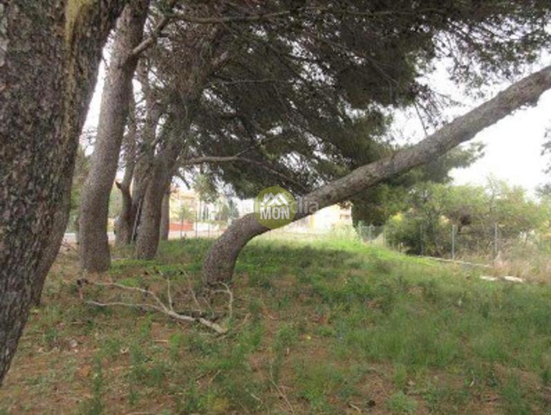 Foto 71b58076-7205-485b-8276-f76b5ba1538c. Terreno residencial suelo urbano junto al mar en Les Bassetes - El Marjal Dénia