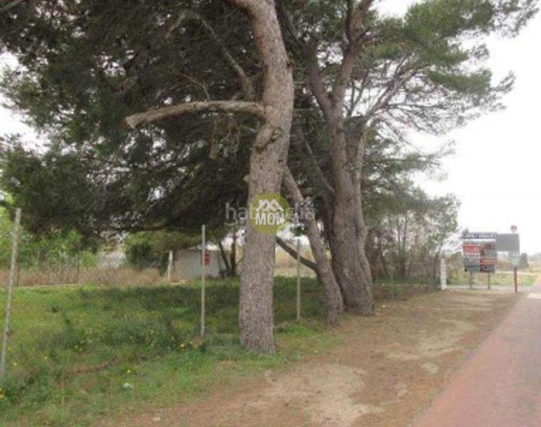 Foto c1c2ac81-25cd-4142-b838-f46e7fef8c5d. Terreno residencial suelo urbano junto al mar en Les Bassetes - El Marjal Dénia