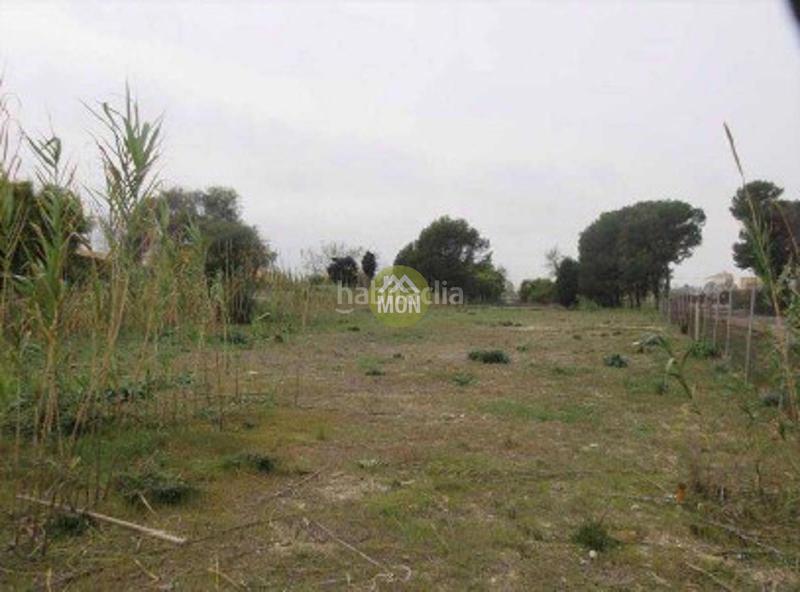 Foto c1e3b705-c63d-45a9-a2cb-16c50bff4884. Terreno residencial suelo urbano junto al mar en Les Bassetes - El Marjal Dénia