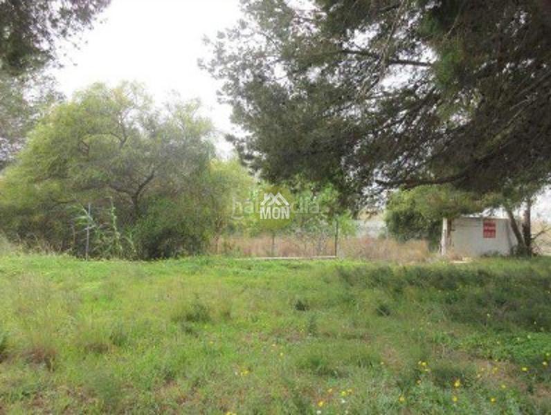 Foto d77e1e57-7c65-4190-b7c1-2adbd4abed9d. Terreno residencial suelo urbano junto al mar en Les Bassetes - El Marjal Dénia