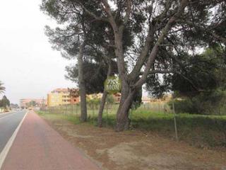 Terreny residencial a Les Bassetes - El Marjal. Suelo urbano junto al mar