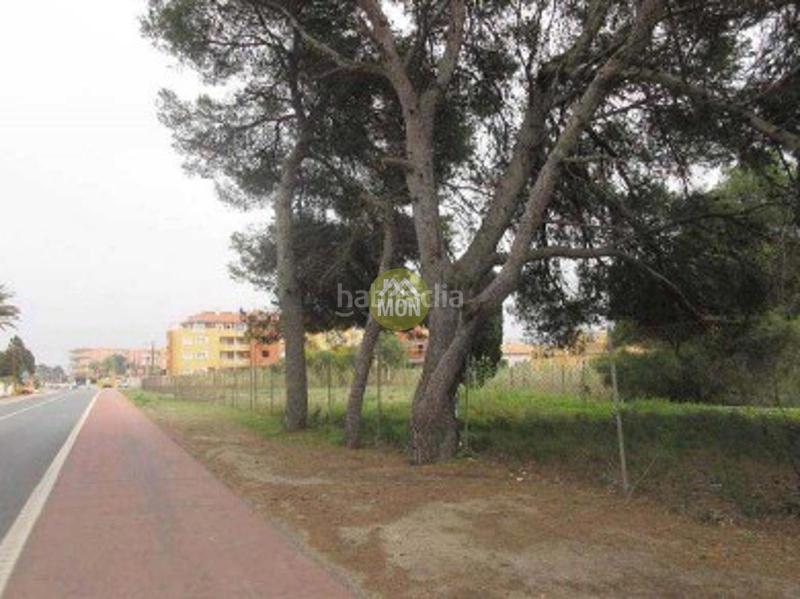 Foto e8c92589-2aed-4cb0-b72c-36b0ab739af8. Terreno residencial suelo urbano junto al mar en Les Bassetes - El Marjal Dénia