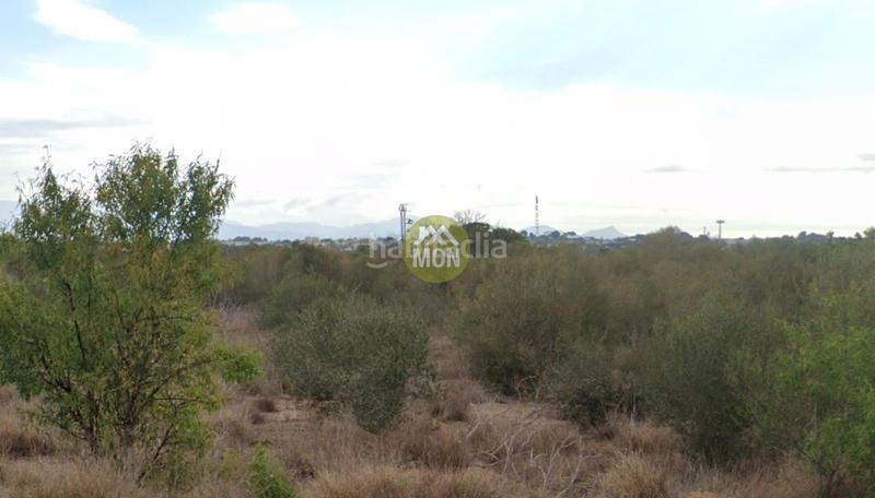 Foto 5535e736-22bc-4233-95f3-0771965c3b06. Fondo rustico in Núcleo Urbano Pobla de Vallbona (la)