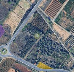 Finca rústica a Núcleo Urbano. Terreno urbanizable en gallipont