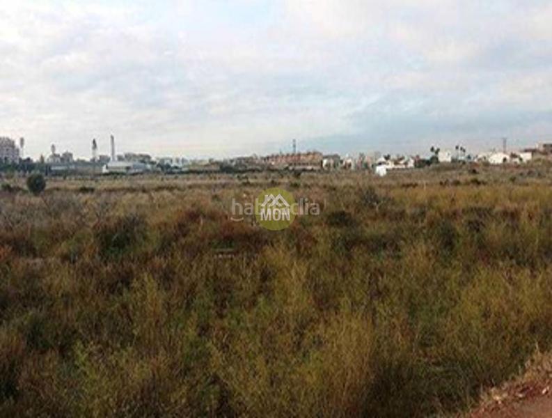 Foto cd8823eb-7059-409c-9790-9d865f25b540. Finca rústica suelo rústico en la ciudad de castellón en Castellón de la Plana