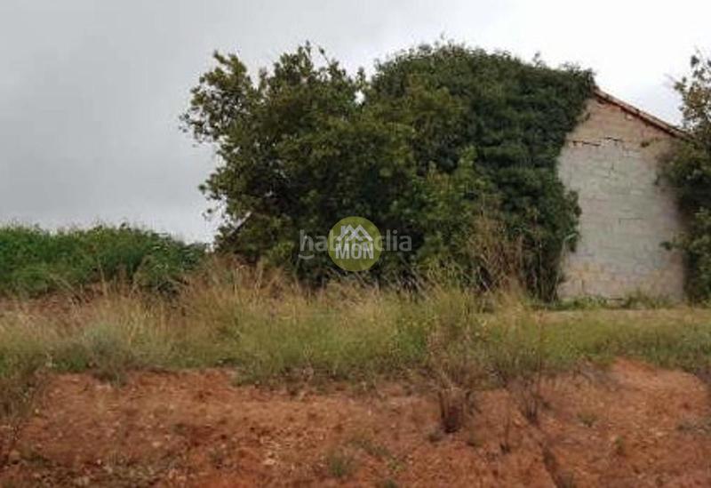 Foto e01a39f1-f029-455a-b80d-e2741dcb5d97. Finca rústica suelo rústico en la ciudad de castellón en Castellón de la Plana