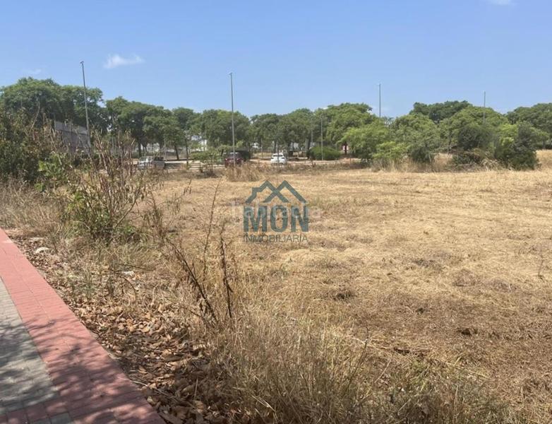 Foto c0cc2bde-a14e-4d38-b166-c594d70e9b78. Terreny residencial a Canet d´en Berenguer