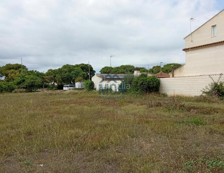 Foto cbce0ef1-0507-4c1a-b1a9-08ba642bf48d. Terreny residencial a Canet d´en Berenguer