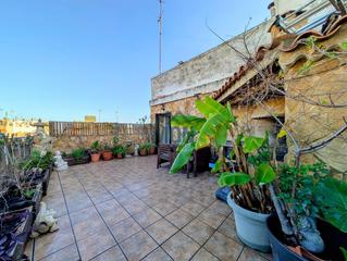 �tic en Catarroja. �tico en catarroja