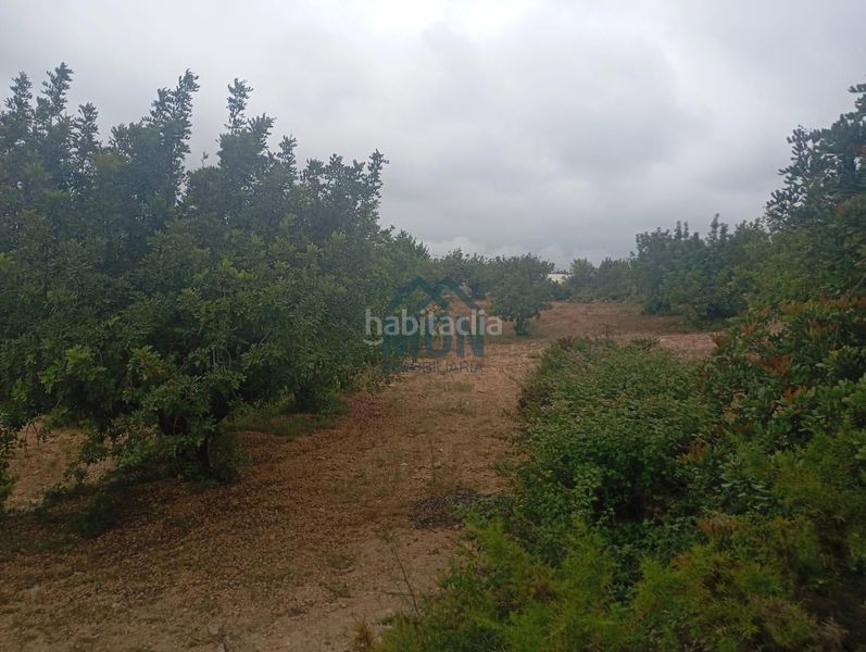 Foto 81f8eaa2-23b5-43c2-b6fc-9fb59e49a952. Finca rústica a Buñol