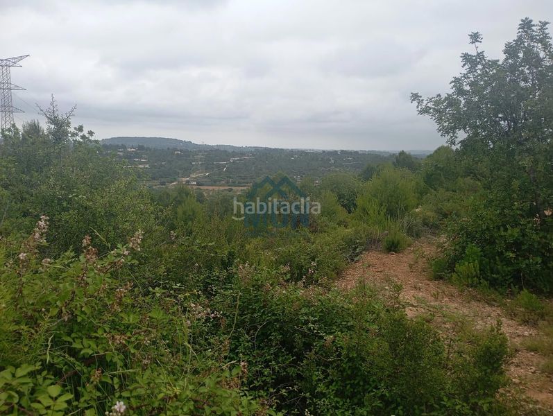 Foto b26fcdfa-d370-415b-8dd9-be9cccd38e96. Finca rústica a Buñol