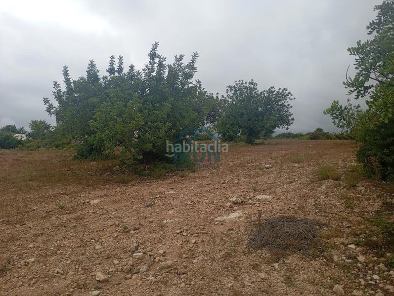 Foto bb6b00f2-cc17-41d4-a135-d920448d7214. Finca rústica a Buñol