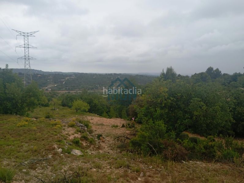 Foto da2ad54c-6cda-4b0d-a4fc-b11ed0954bf5. Finca rústica a Buñol