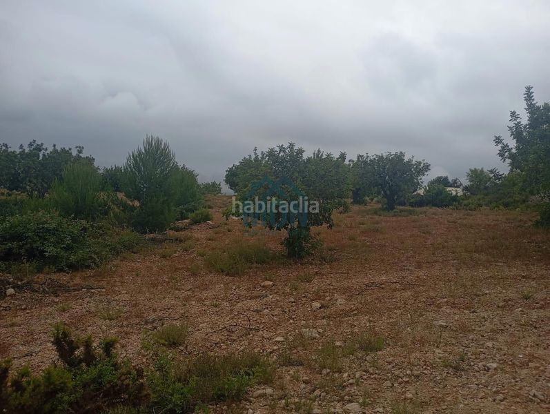 Foto eeeacf78-e97b-4b7e-b87c-6e28dee8f927. Finca rústica a Buñol