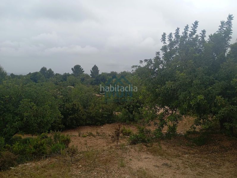 Foto fe8beaf7-d180-47a3-bd86-952200aa3607. Finca rústica a Buñol