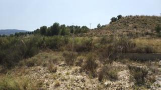 Finca rústica a Monòver. Parcela terreno 10.000