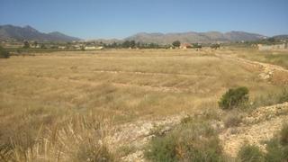 Fondo rustico in Novelda. Terreno parcela 10000 metros