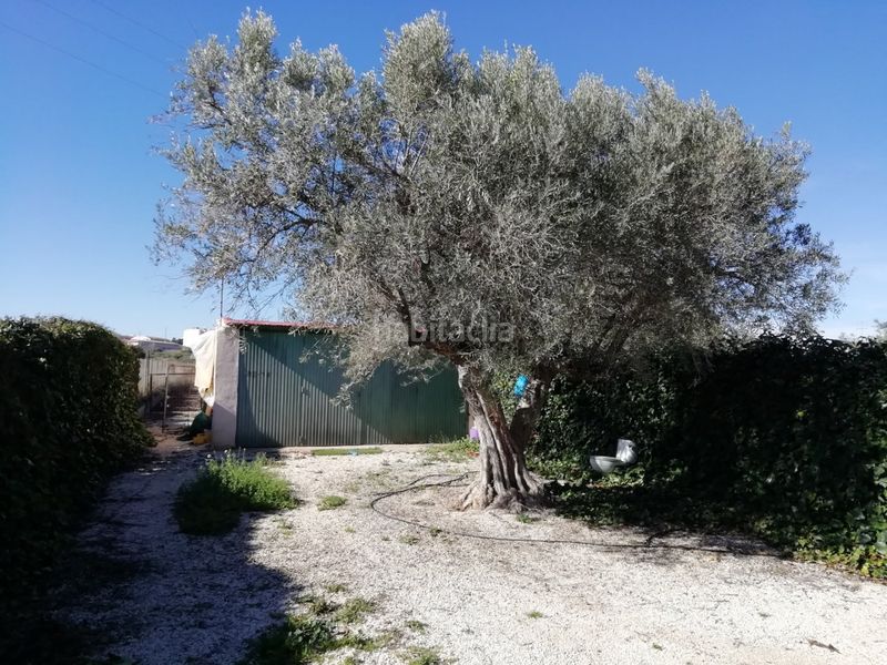 Foto dd0e624c-4bba-4225-9565-90545c263106. Chalet avec piscine dans Monòver