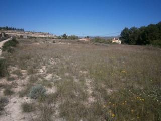 Finca rústica a Monòver. Terreno rustico en muy buena zona