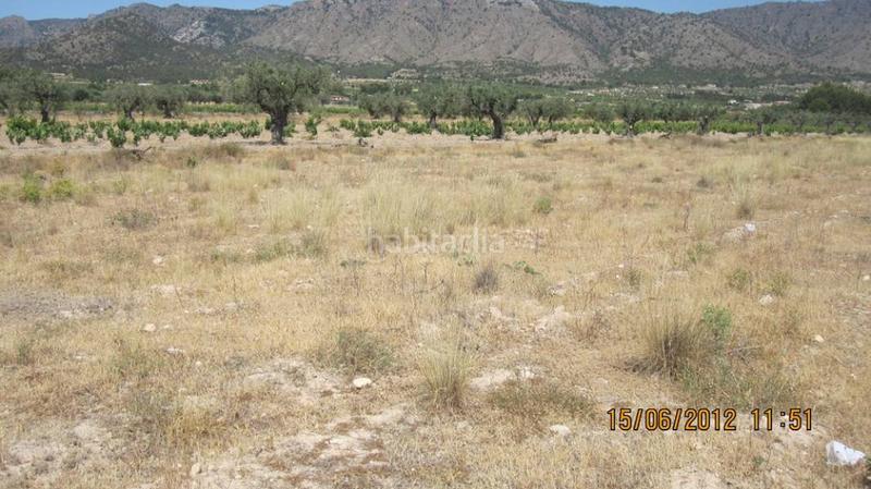 Foto 5084d8d6-a6b2-43fc-bed9-0ef92cf738ee. Finca rústica terreno en Salinas de Oro