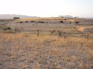 Finca rústica a Monòver. Parcela de terreno