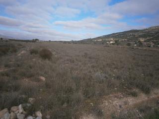 Propriété à Pinoso. Terreno no urbano