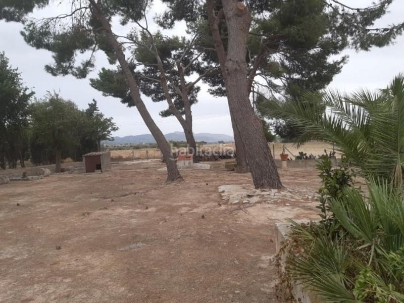 Foto 14453f9d-1b7f-4ec9-bfe5-13066591afc0. Masía finca rustica del 1920 reformada en Sax