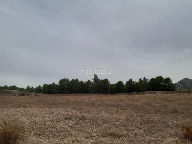 Foto 6f7245be-0184-44ce-8508-c7eea64f981d. Masía finca rustica del 1920 reformada en Sax