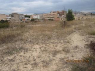 Finca rústica a Monòver. 32000 metros en la zona del colegio cañis de monovar