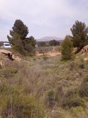 Terreny residencial a Monòver. Terreno en monovar