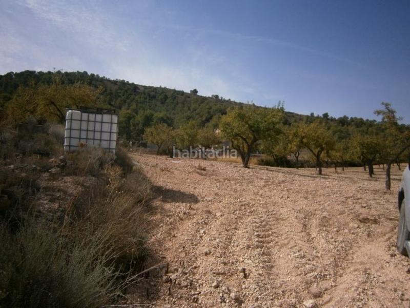 Foto 9584a8ea-89b4-44a9-8d1a-85d4a9adbc3d. Finca rústica terreno en hondon de las nieves en Hondón de las Nieves