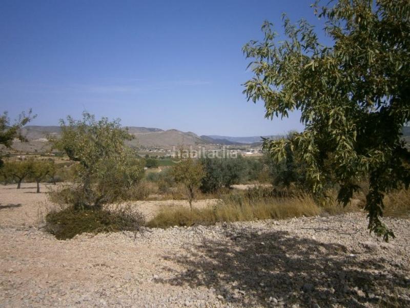 Foto a38c4069-c31c-4ce7-8752-1548c913011c. Finca rústica terreno en hondon de las nieves en Hondón de las Nieves