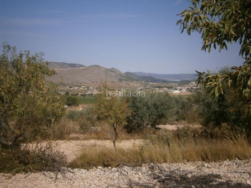 Foto be8e4002-76dc-41d8-98a5-c1c5f45132ff. Finca rústica terreno en hondon de las nieves en Hondón de las Nieves