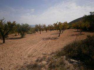 Propriété à Hondón de las Nieves. Terreno en hondon  de las nieves