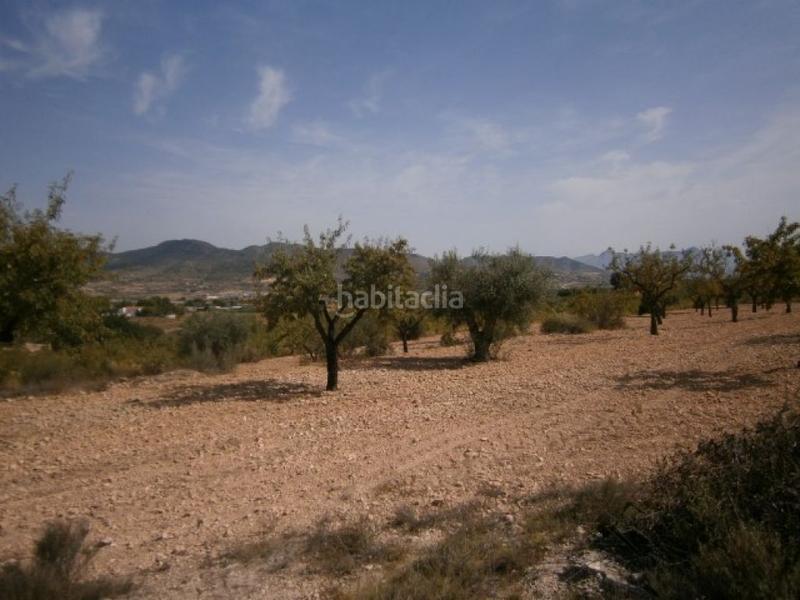 Foto f30a84a1-84e0-4bbb-8645-c711a3c05795. Finca rústica terreno en hondon de las nieves en Hondón de las Nieves