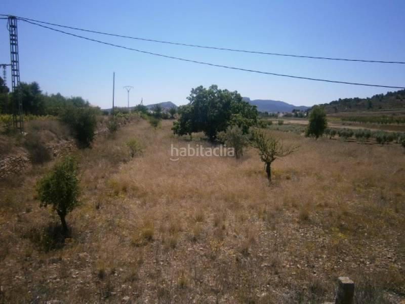 Foto f799dcf9-cea2-489f-a80f-3a83b11d4a76. Propriété dans Monòver