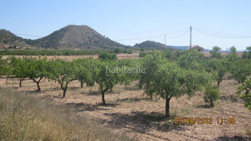 Foto 1251b7fc-1a15-4ae7-bc96-e5bfd2626137. Maison dans Monòver