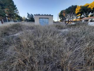 Finca rústica a Monòver. Parcela de 600 metros