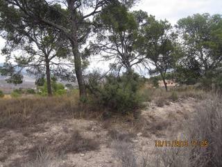 Finca rústica a Monòver. 36500 metros de terreno el la serra la vella