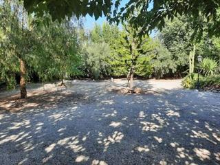 Masia en Romana (la). Casa cueva con parcela de 6000 metros