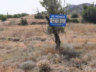 Finca rústica a Monòver. Terreno en la alquebla