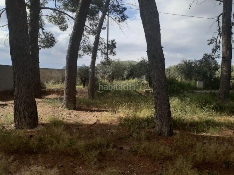 Foto 3460658c-cb98-4209-81d0-9565350ea963. Chalet  en la carretera -monovar en Campo Alto-Club de Campo Elda