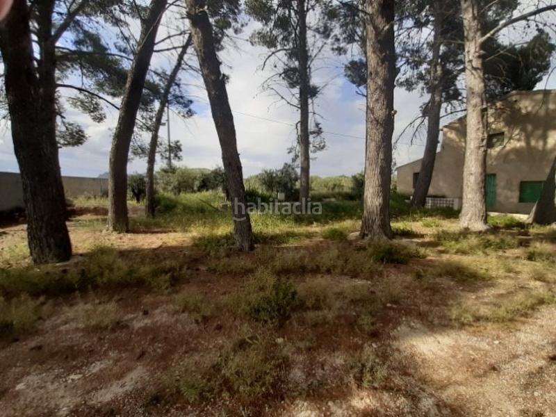 Foto 881ff6bc-a61c-4ddc-a9c2-386641b63b0a. Chalet  en la carretera -monovar en Campo Alto-Club de Campo Elda